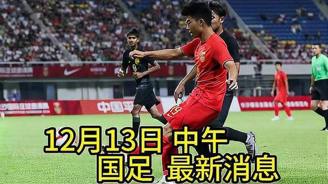 国足最新动态，砥砺前行，重塑荣光之路
