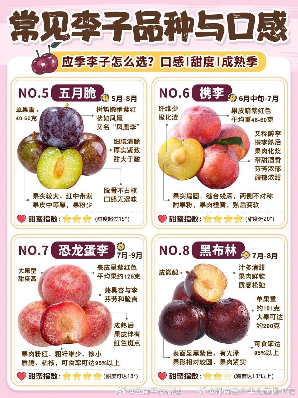 最新李树品种，探索变化中的学习，自信与成就的力量