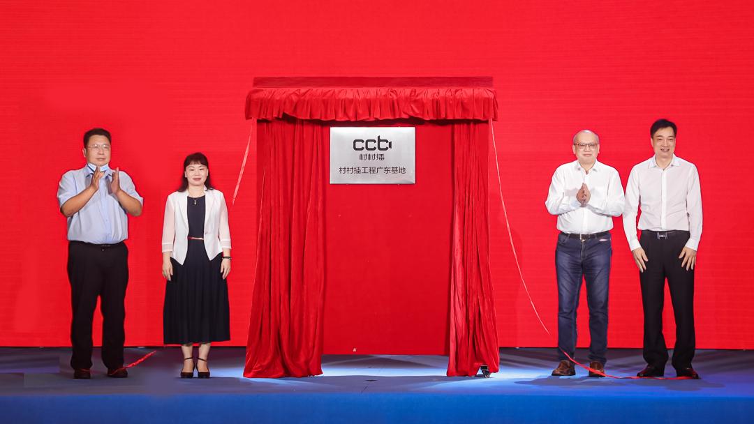 小巷甜蜜商机，最新荔枝市场趋势分析